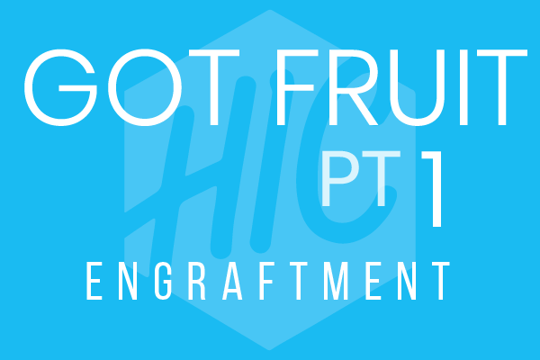 Got Fruit Pt. 1 | Engraftment